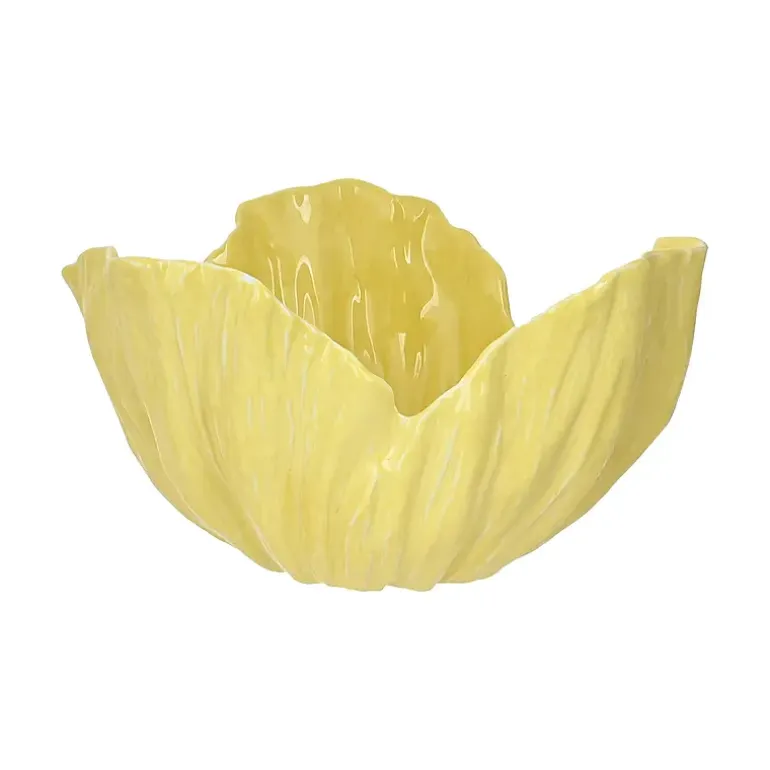 Bolle