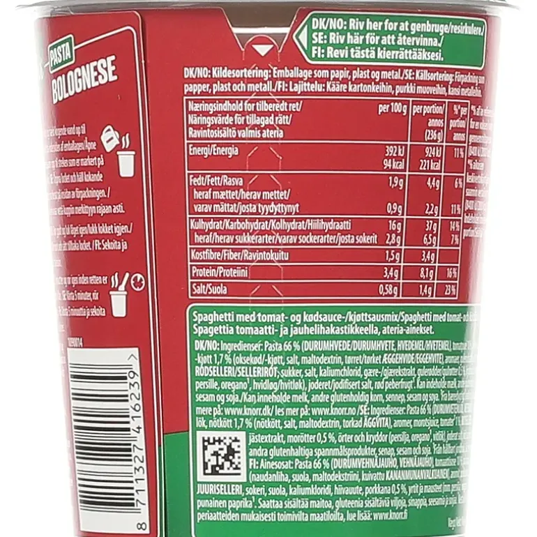 Bolognese