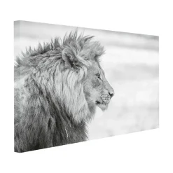 Canvasbilde