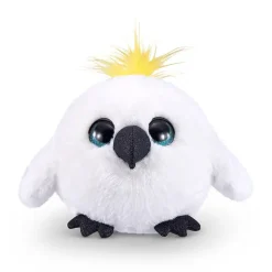 Cirphy bird