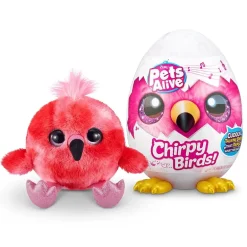 Cirphy bird