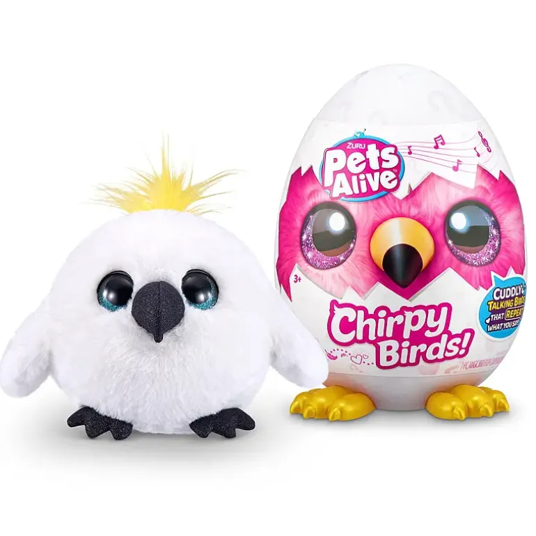 Cirphy bird