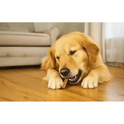 Dental sticks L