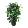 Eføy