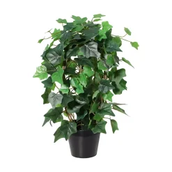 Eføy