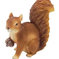 Ekorn