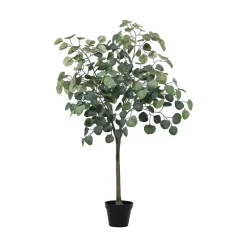 Eukalyptus tre