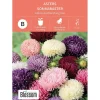 Frø asters