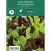 Frø baby leaf salat