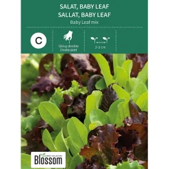 Frø baby leaf salat