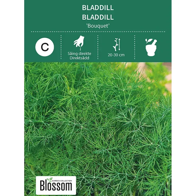 Frø bladdill