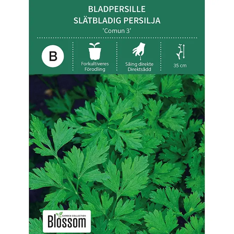 Frø bladpersille