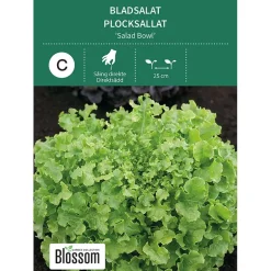 Frø bladsalat