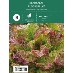 Frø bladsalat