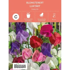 Frø blomsterert