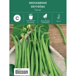 Frø brekkbønne