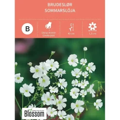 Frø brudeslør