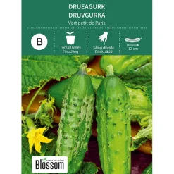 Frø drueagurk