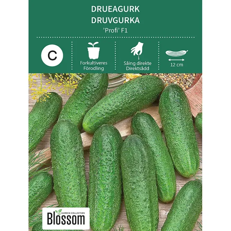 Frø drueagurk
