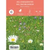 Frø engblomster