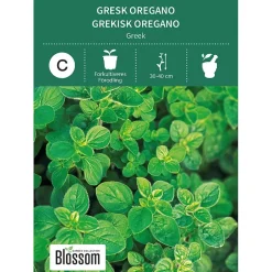 Frø gresk oregano