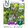 Frø honningblomster