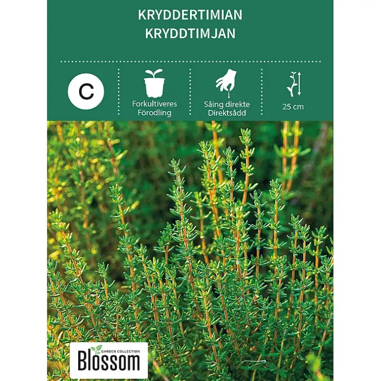 Frø kryddertimian