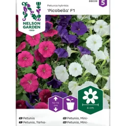 Frø minipetunia