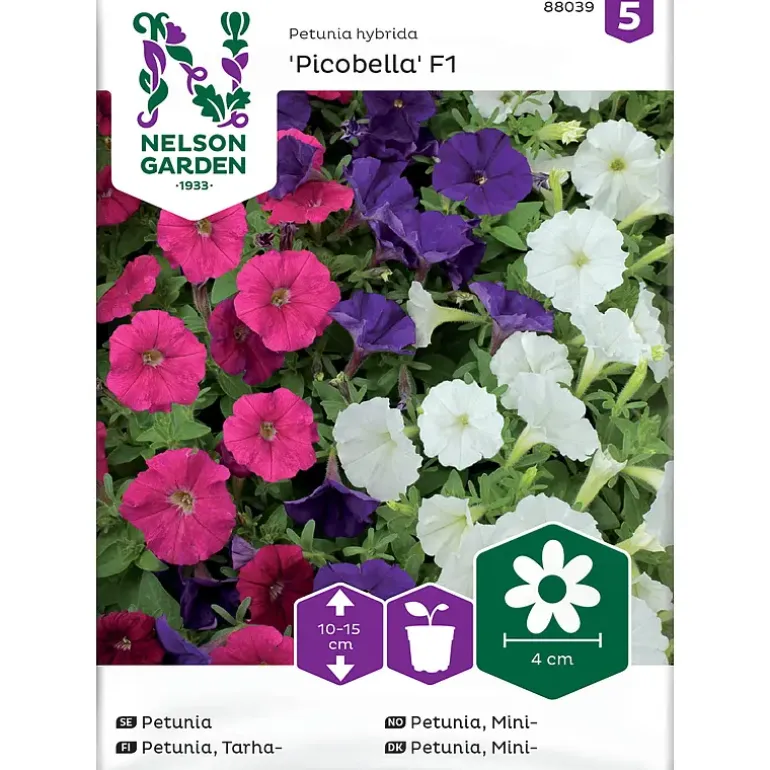 Frø minipetunia