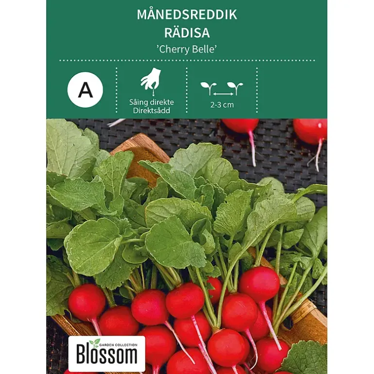 Frø månedsreddik