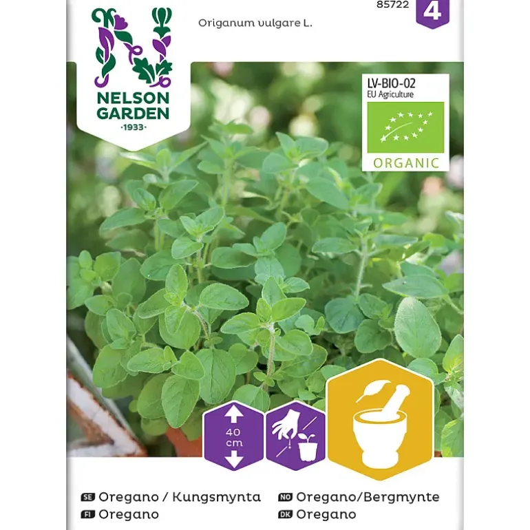 Frø oregano