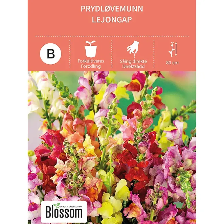 Frø prydløvemunn
