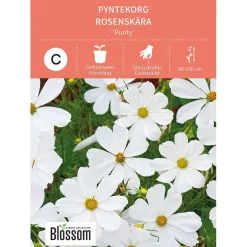 Frø pyntekorg