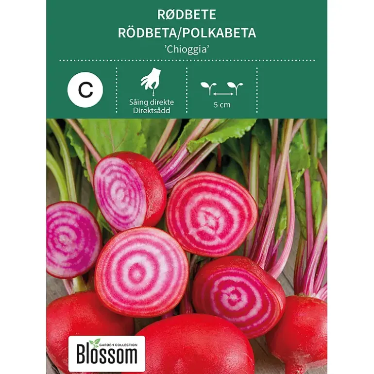 Frø rødbete