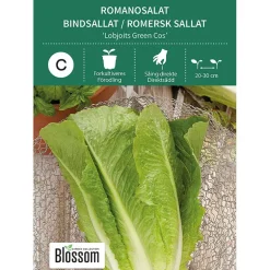Frø romanosalat