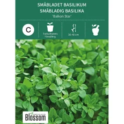 Frø småbladet basilikum