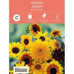 Frø solsikke