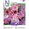 Frø sommerblomster
