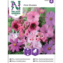 Frø sommerblomster