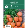 Frø sommergulrot