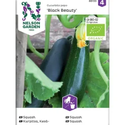 Frø squash