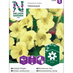 Frø stor blomkarse