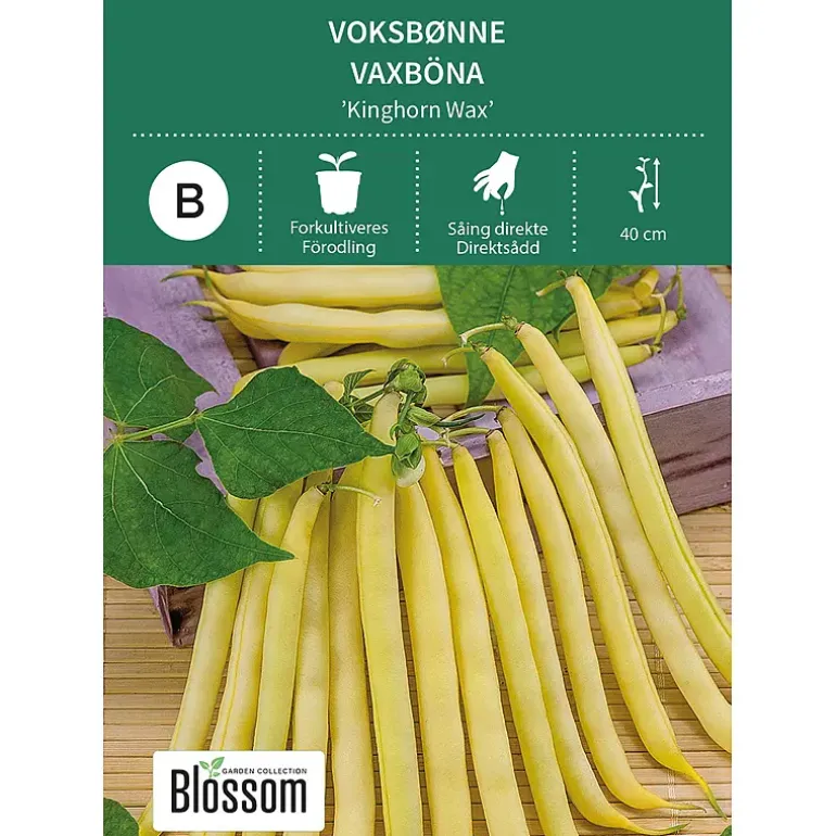 Frø voksbønne