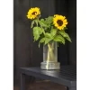 Glassvase