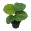 Grønnplante