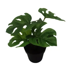 Grønnplante