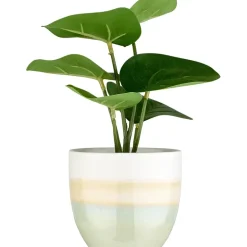 Grønnplante