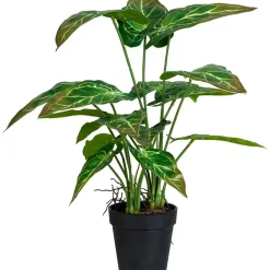 Grønnplante