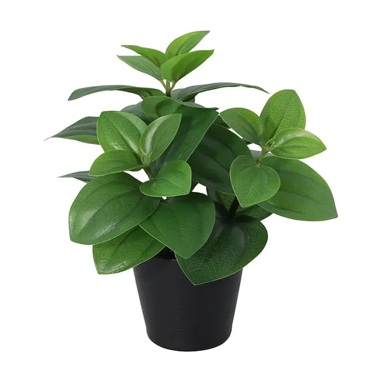 Grønnplante