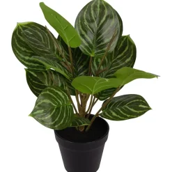 Grønnplante